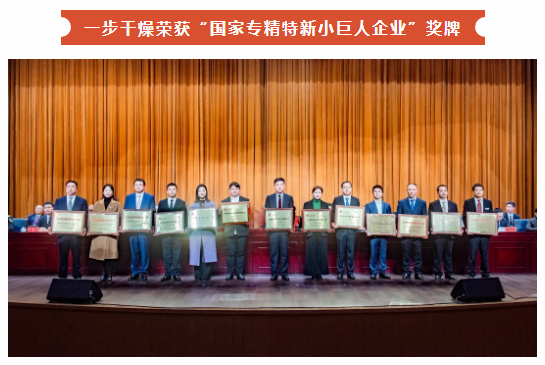 回首南宫NG282024年度“高光”时刻，每一步都值得！